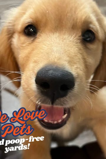 Close-up of a happy golden retriever puppy with text overlay that reads 'We Love Pets and poop-free yards!' promoting Home and Lawn Hero’s pet-friendly lawn care services